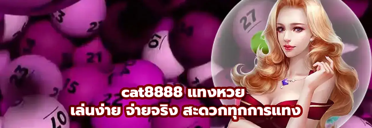 cat8888 แทงหวย